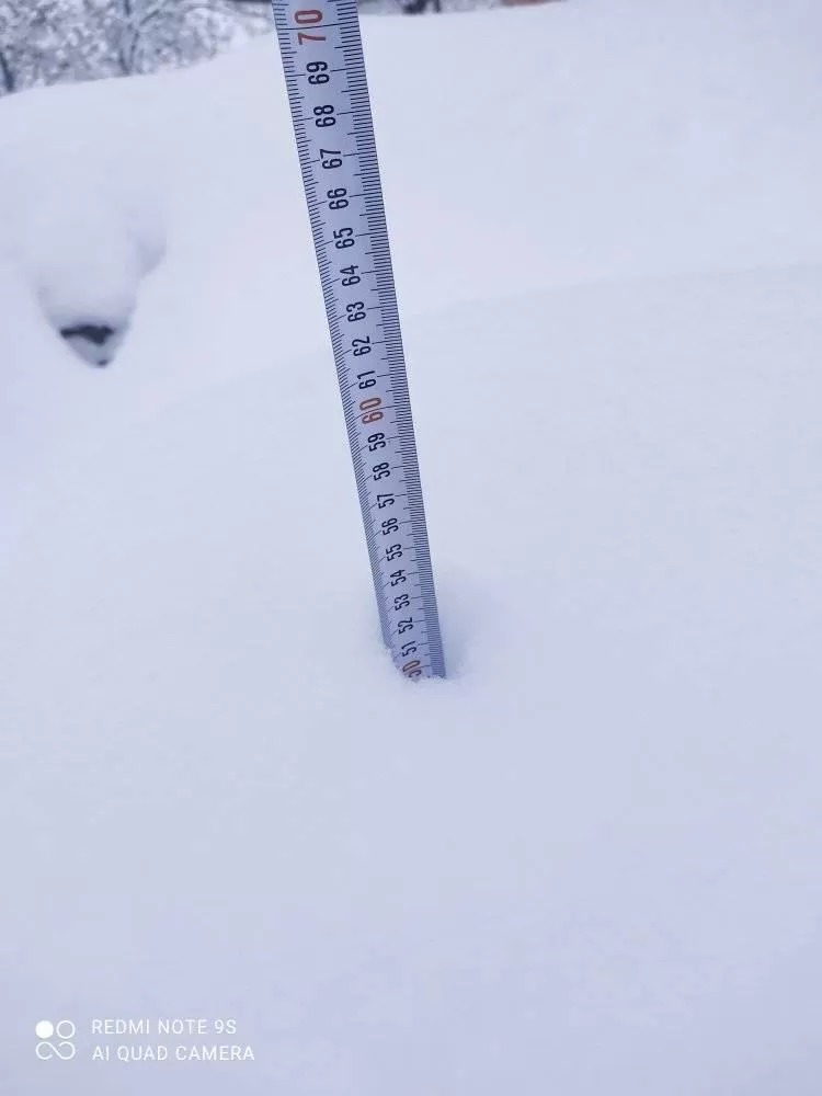 121206-3601d76d-webp